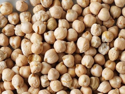 Chickpea