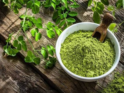 Moringa Powder