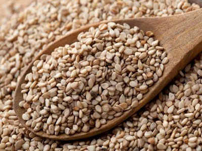 Sesame Seed